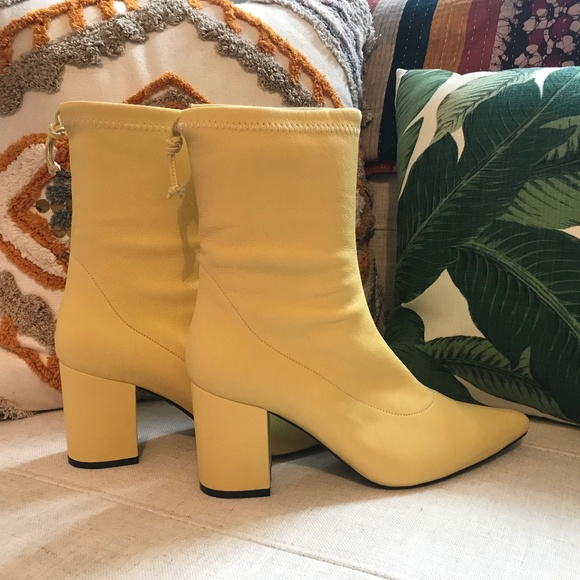 anine bing chloe boots